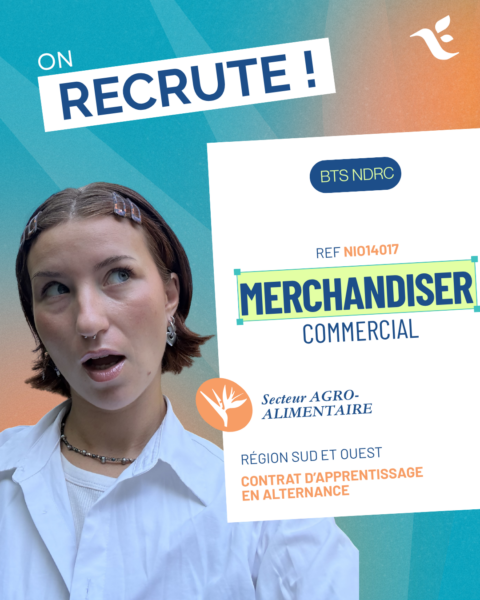 Merchandiser commercial